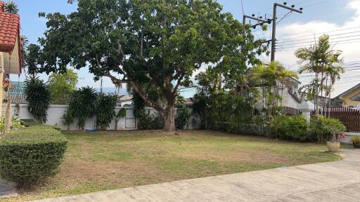 Spacious backyard with a large tree and manicured lawn