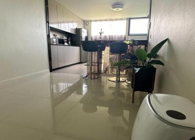 Modern kitchen area with high chairs and potted plant