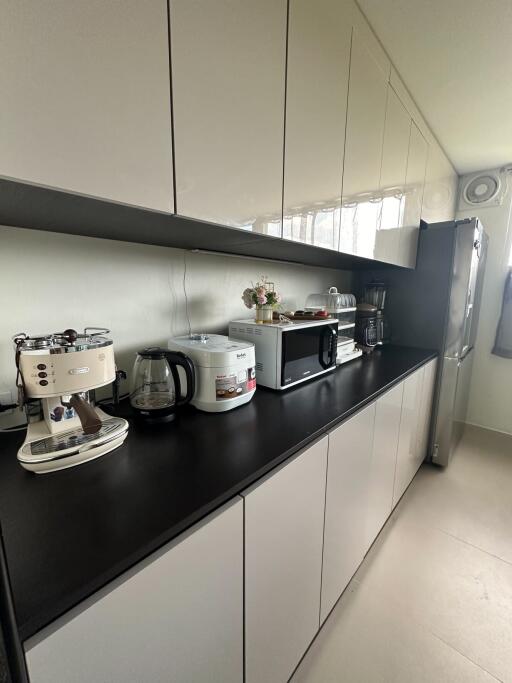 Modern kitchen with appliances and sleek cabinetry