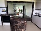 Modern kitchen with dark marble island and built-in appliances