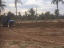 Outdoor area with palm trees and a tractor