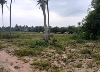 Vacant land with trees