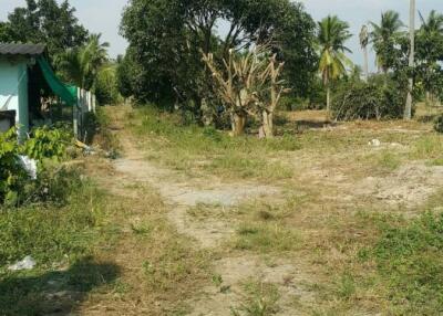 Outdoors view of a rural property with trees and vegetation