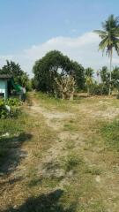 Outdoors view of a rural property with trees and vegetation