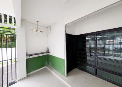 Modern entryway with green and white walls, lighting fixture, and black metal gate