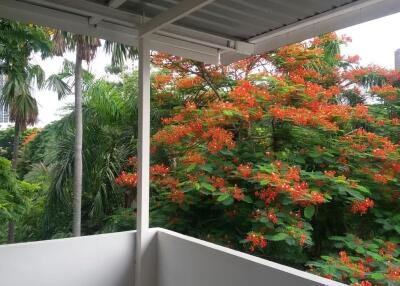 Balcony with view of lush greenery and orange flowering trees