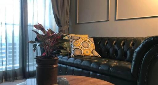 Cozy living room with a black leather sofa and decorative pillows