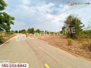 View of the road leading to the property