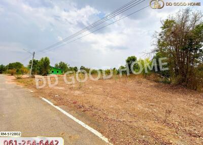 Open plot of land by the roadside with some trees and vegetation around, clear sky overhead