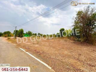 Open plot of land by the roadside with some trees and vegetation around, clear sky overhead