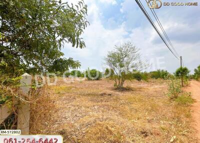 Vacant lot with scattered trees and open sky