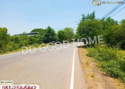 Road view with greenery and distant houses