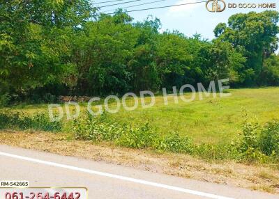 Vacant plot of land adjacent to a road with green vegetation