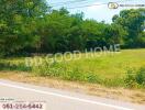 Vacant plot of land adjacent to a road with green vegetation