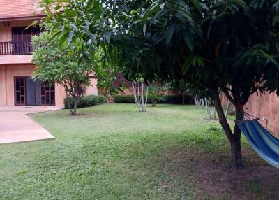 Outdoor garden area with trees and hammock