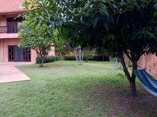 Outdoor garden area with trees and hammock