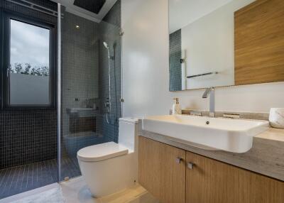 Modern bathroom with glass shower and large sink