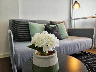 Cozy living room with a sofa and decorative pillows, featuring a coffee table with a flower pot and a floor lamp in the background.