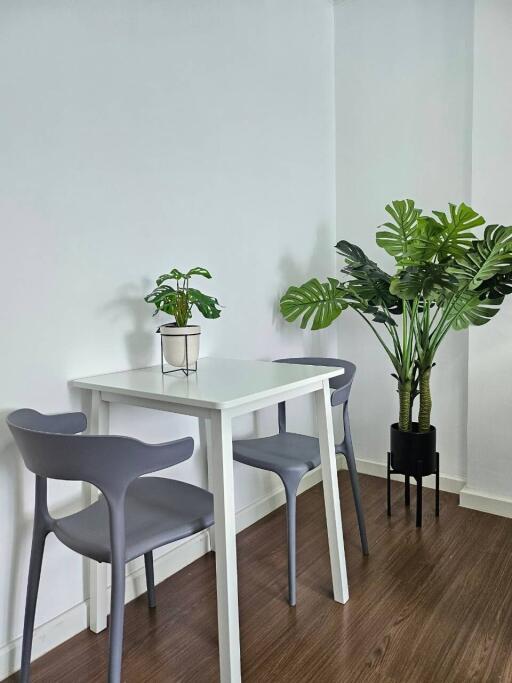 Small dining area with table, chairs, and plants