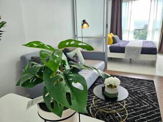 Modern living room with sofa, coffee table, and large windows