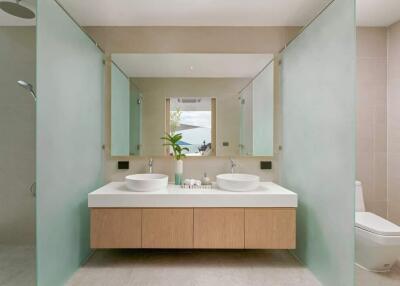 Modern bathroom with double sink and frosted glass partitions