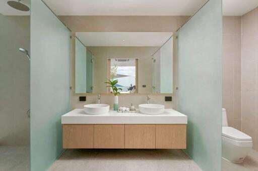 Modern bathroom with double sink and frosted glass partitions