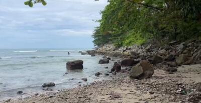 Scenic beach with rocks and trees