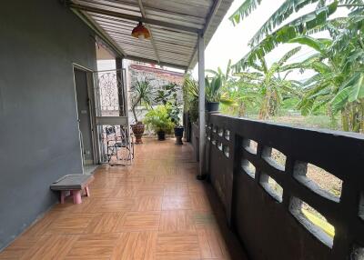 Covered patio area with tiled floor and potted plants