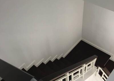 Interior view of staircase with dark wooden steps and white walls