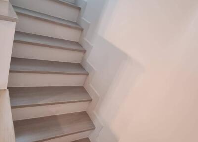 Interior staircase with wooden steps