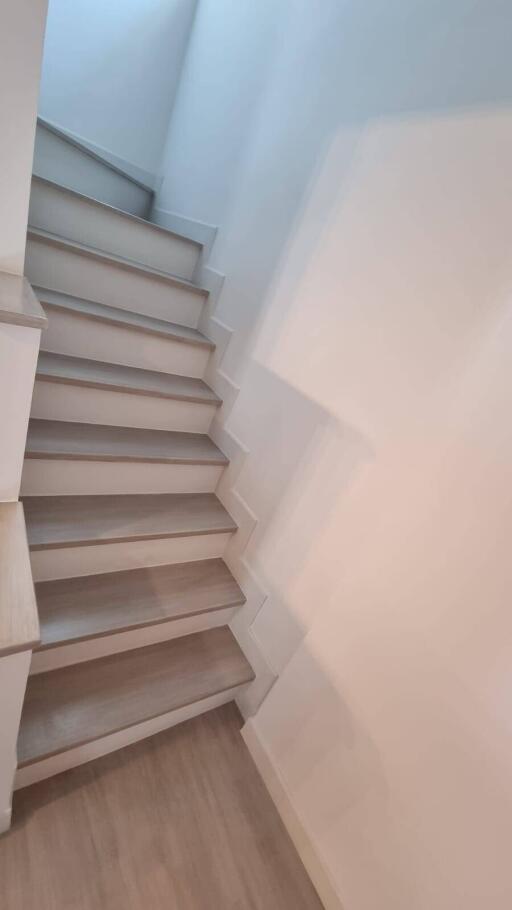 Interior staircase with wooden steps