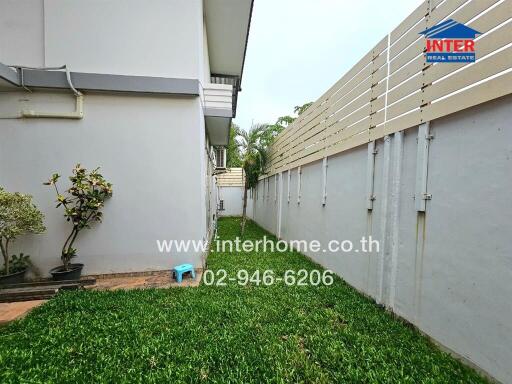 Side yard with grass and plants