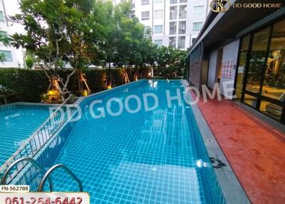 Outdoor swimming pool of a residential building complex
