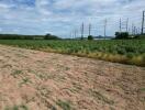 Large plot of farmland with utility poles in the distance