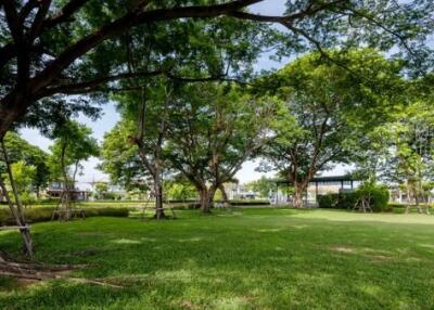 Spacious backyard with lush green lawn and trees