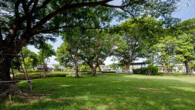 Spacious backyard with lush green lawn and trees