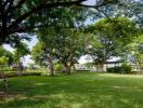 Spacious backyard with lush green lawn and trees