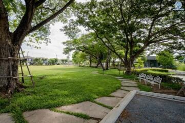 Outdoor garden with trees and walkway