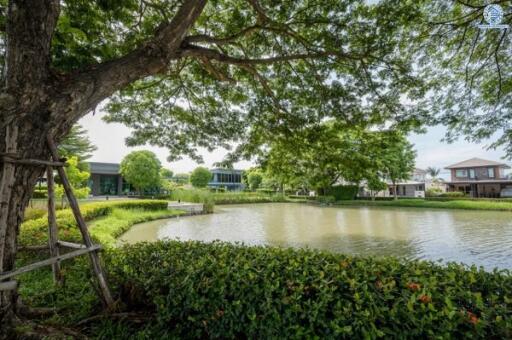 Beautiful scenery of a pond with surrounding greenery and houses