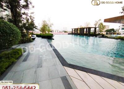 Outdoor swimming pool with surrounding seating and greenery