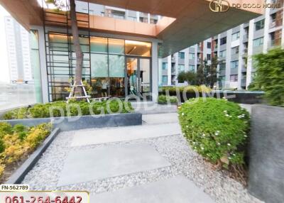 Modern building entrance with greenery