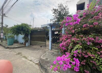 Gated entrance with flowering plants