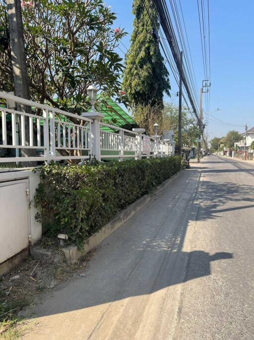 street view with neighboring houses and greenery