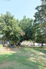 Spacious garden with lush trees