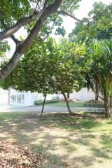 A well-maintained garden with trees and green lawn