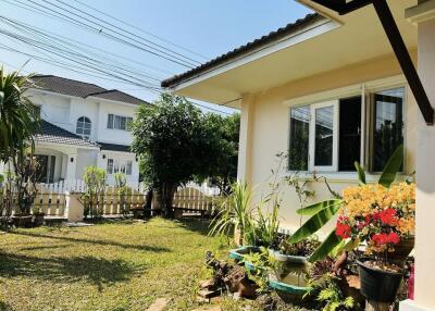 House for Rent in San Sai Noi, San Sai.