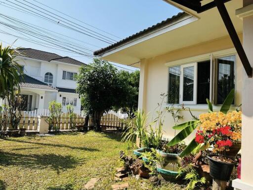 House for Rent in San Sai Noi, San Sai.