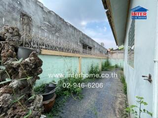 Pathway with plants and building walls