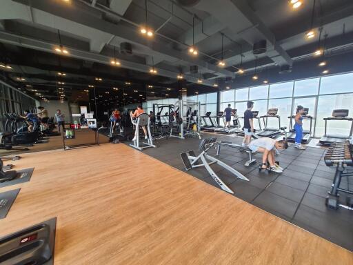 Modern gym facility with various exercise equipment