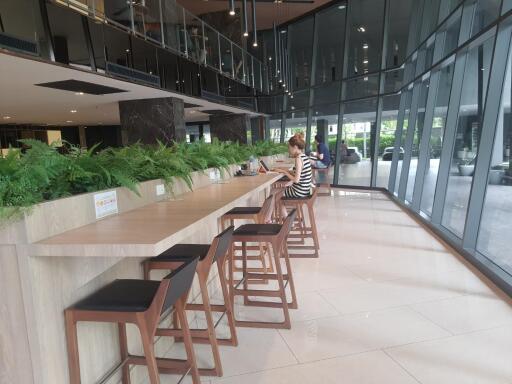 Spacious communal area with long counter and seating